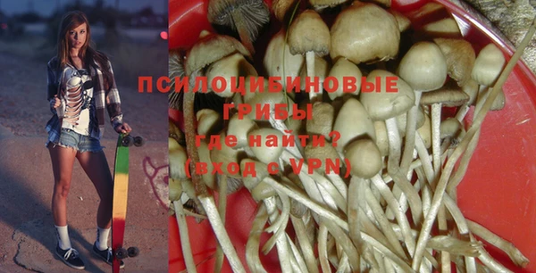 прущие крисы Нефтекумск
